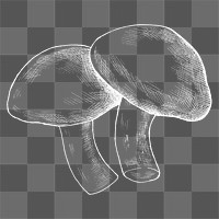 Png mushroom illustration collage element, transparent background