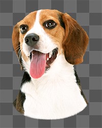 PNG  beagle dog  animal, collage element, transparent background