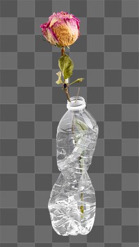 Rose png collage element, transparent background
