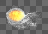 PNG Lion's mane jellyfish, collage element, transparent background