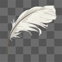 Feather quill png, aesthetic illustration, transparent background