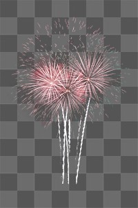 Firework celebration png, transparent background