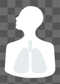 Human lungs png sticker, health graphic transparent background