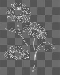 Flower element png, transparent background