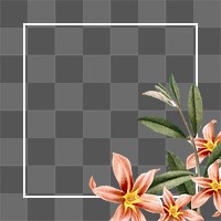 Flower png frame, transparent background