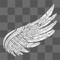 Wing png illustration, transparent background