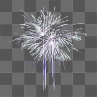 Fireworks png, isolated object, transparent background