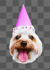 Party dog png collage element, transparent background
