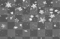 PNG Snow flakes backgrounds snowflake snowing. 