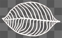 PNG Leaf astronomy outdoors pattern. AI generated Image by rawpixel.