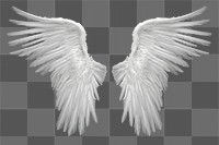 PNG Wings flying angel bird. AI generated Image by rawpixel.