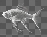 PNG Fish animal underwater monochrome. AI generated Image by rawpixel.