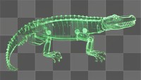 PNG Crocodile reptile animal green. AI generated Image by rawpixel.