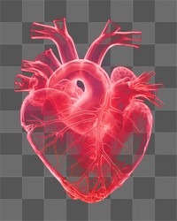 PNG Heart pink antioxidant tomography. AI generated Image by rawpixel.