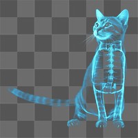 PNG Cat animal mammal x-ray. AI generated Image by rawpixel.