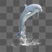 Jumping dolphin png sticker, sea animal on transparent background