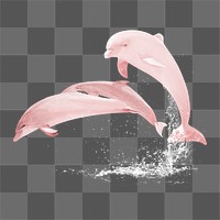 Pink dolphins png sticker, sea animal on transparent background