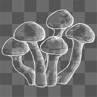 Png mushroom illustration collage element, transparent background