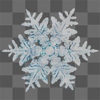 Winter snowflake transparent Christmas ornament macro photography, remix of photography by Wilson Bentley