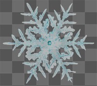 Christmas snowflake transparent macro photography, remix of art by Wilson Bentley