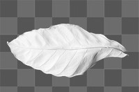 Leaf painted in white design element