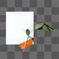 Instant photo png frame, leaf design on transparent background