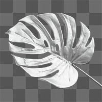 Monstera leaf painted in silver design element