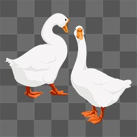 White geese, png sticker illustration, transparent background