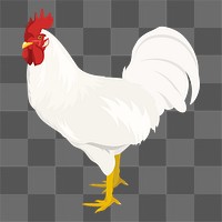 PNG white rooster sticker, male chicken illustration, transparent background