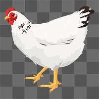 PNG chicken sticker, white hen illustration, transparent background