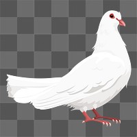 PNG white dove sticker, peace symbol illustration, transparent background