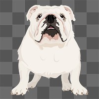 PNG English bulldog, dog illustration sticker, transparent background