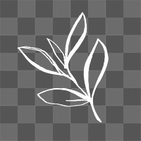 Leaf doodle png sticker, minimal  transparent background