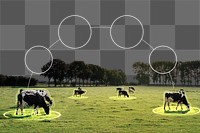 Smart farming png border, cattle, transparent background