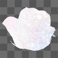 Silvery holographic blooming rose design element