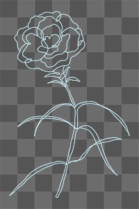 Png rose flower line drawing