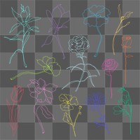 Png flower hand drawn set colorful single line art