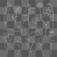 Png flower hand drawn set white single line art