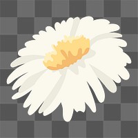 White flower png sticker, transparent background