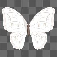 Butterfly png sticker, transparent background 