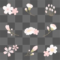 Png white sakura flower sticker element set