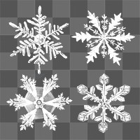 Snowflakes png design element set