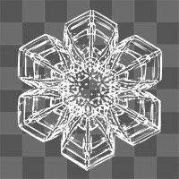 Png realistic snowflakes design element