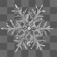 Png realistic snowflakes design element