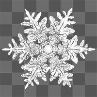 Png realistic snowflakes design element