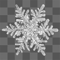 Png realistic snowflakes design element