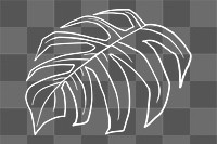PNG monstera leaf sticker doodle botanical illustration