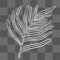 PNG gern leaf sticker doodle botanical illustration