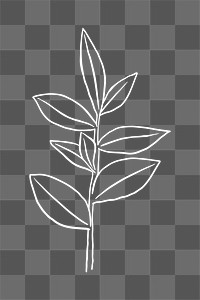 PNG rubber plant sticker doodle botanical illustration