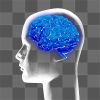 Png glowing AI brain illustration in blue